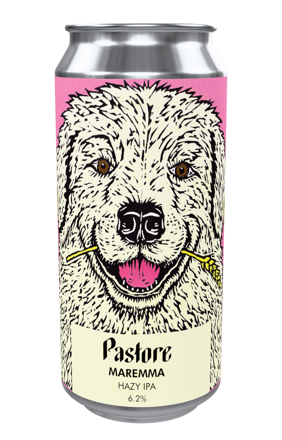 Maremma can